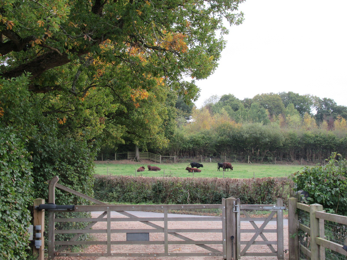 Out the farm gate