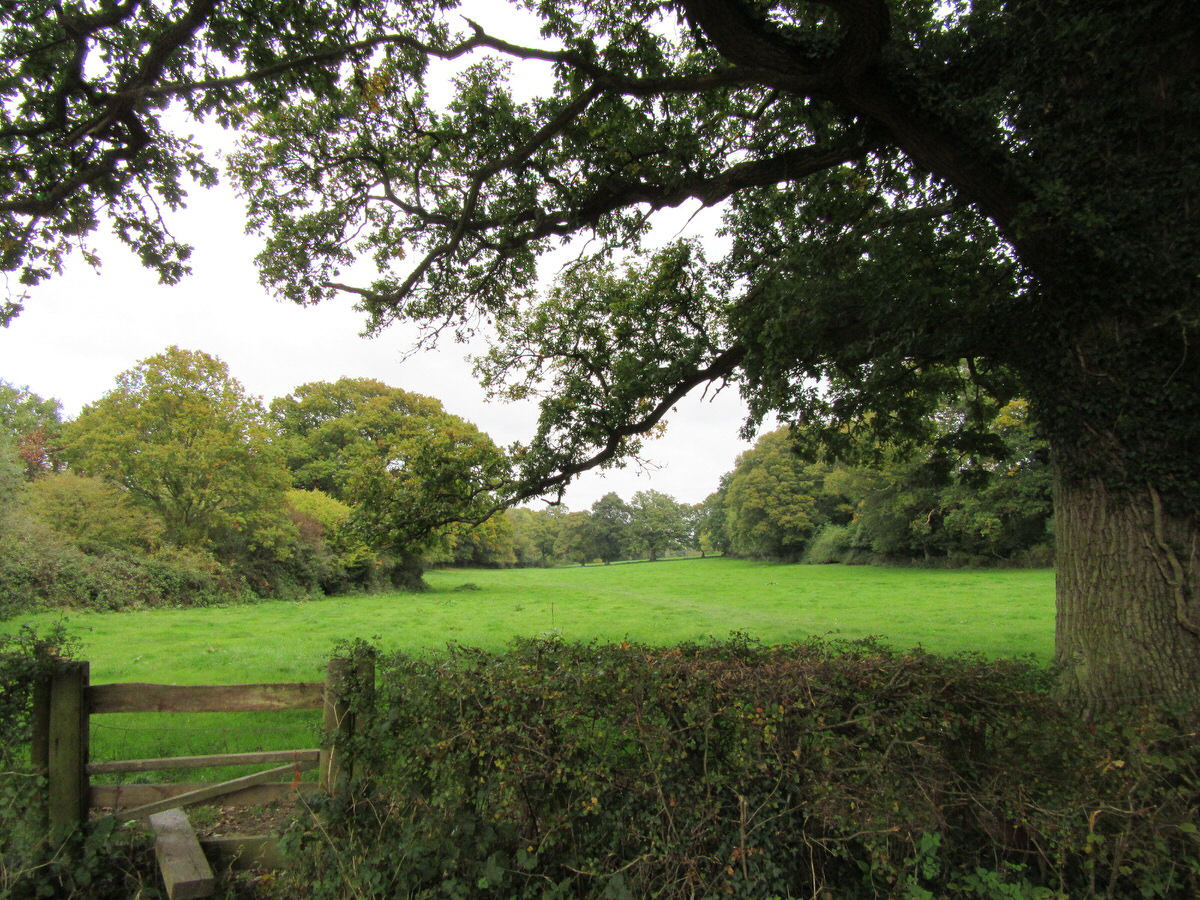 Over the stile