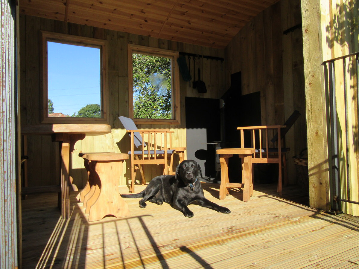 Basking on the deck