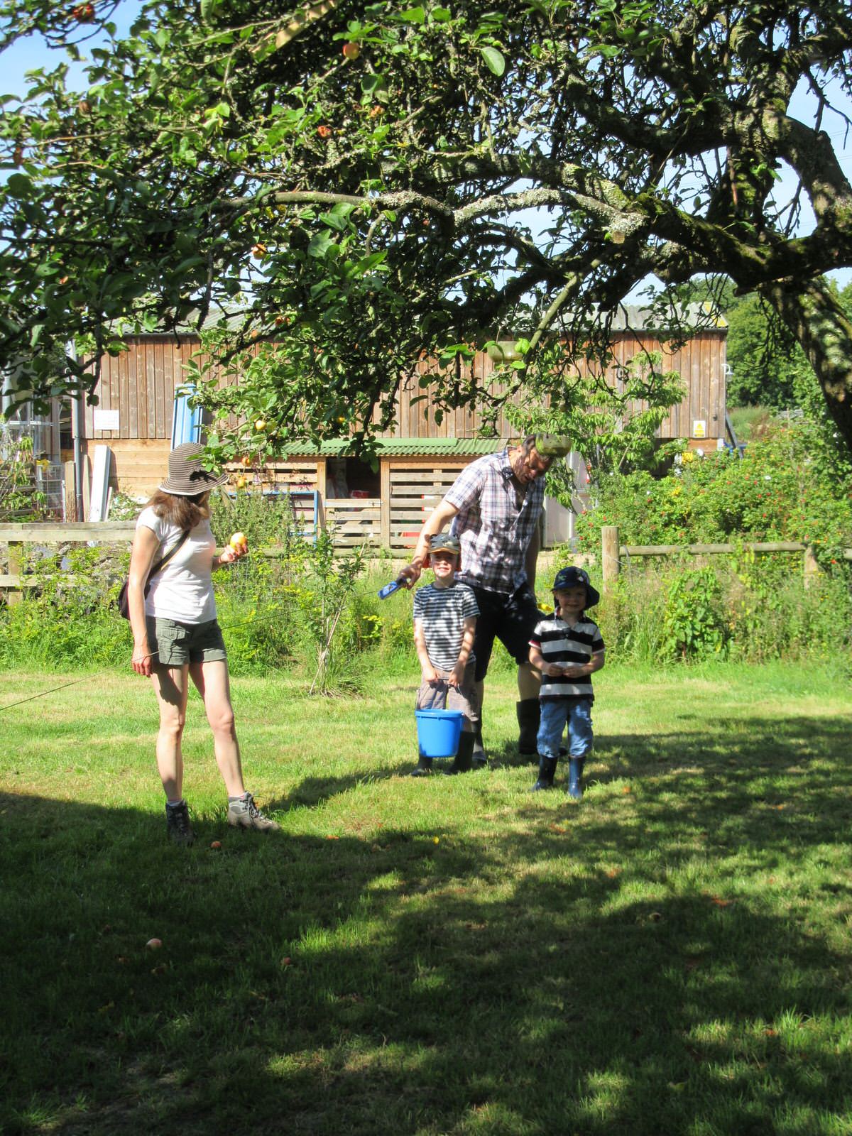 Apple picking