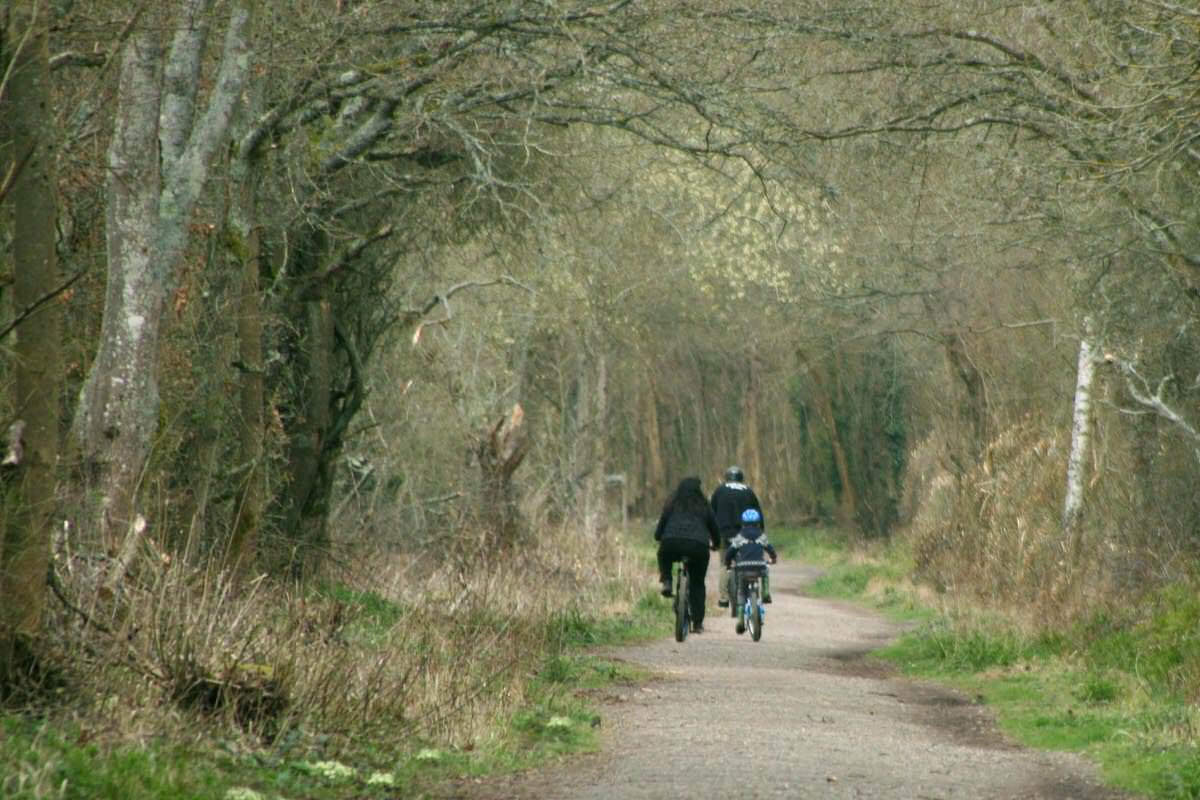 Cycling on the South Downs Link