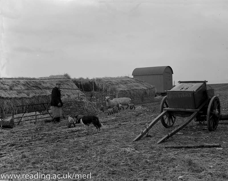 Origins of the hut