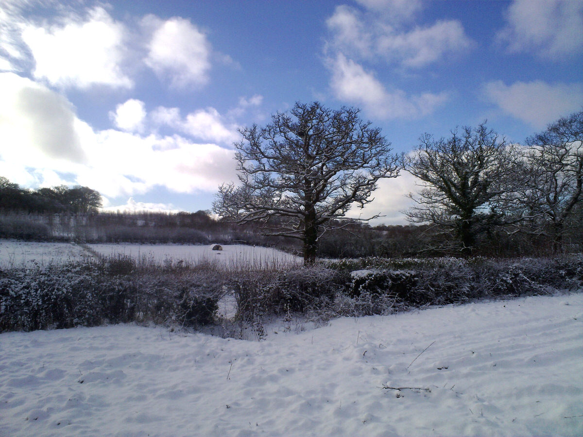 Snow blanket