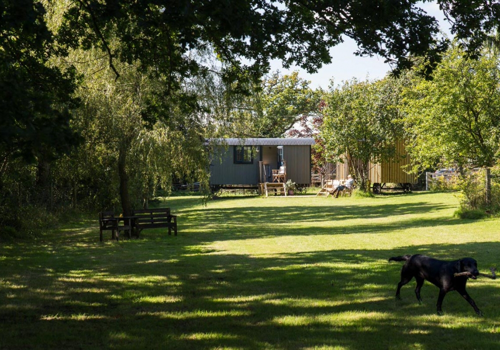 The Shepherds Hut in the Orchard