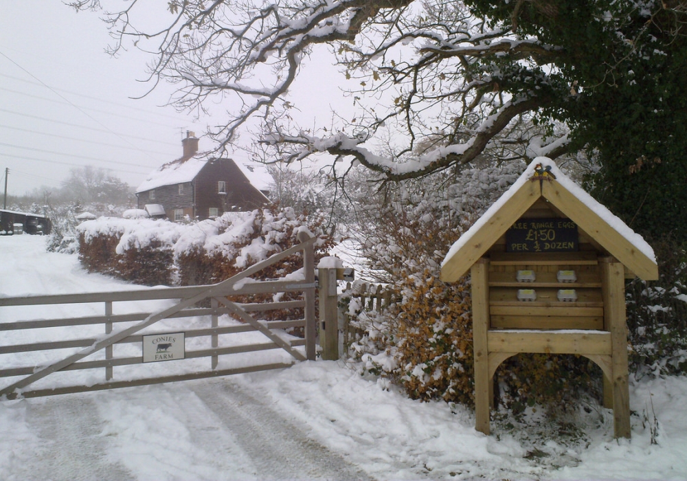 Enchanted wintry days